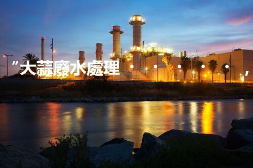 “大蒜廢水處理，綠色環(huán)保新篇章”